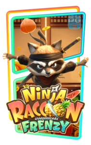 Ninja Raccoon Frenzy