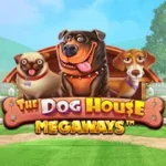 vswaysdogs square